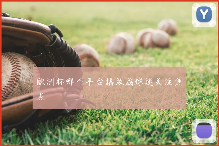 欧洲杯哪个平台播放成球迷关注焦点