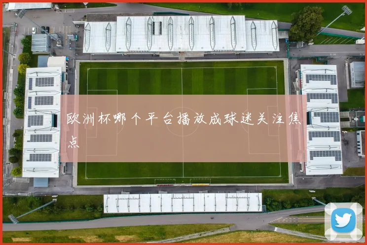 欧洲杯哪个平台播放成球迷关注焦点