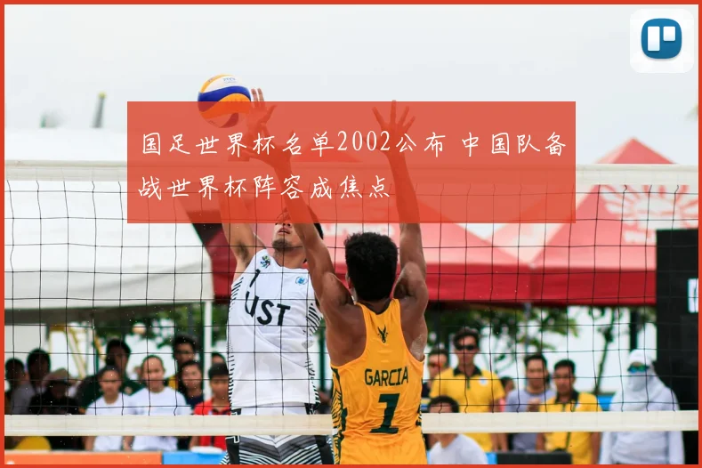 国足世界杯名单2002公布 中国队备战世界杯阵容成焦点